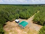 Parcel # 28356 Fm 1751 - Photo 12