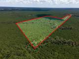 Parcel # 28356 Fm 1751 - Photo 17