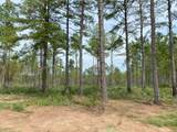 24633 Lot 29 Fm 844 - Photo 2