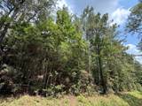 2955 County Road 441 - Photo 11