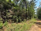 2955 County Road 441 - Photo 3