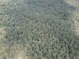 2955 County Road 441 - Photo 4