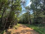 2955 County Road 441 - Photo 8