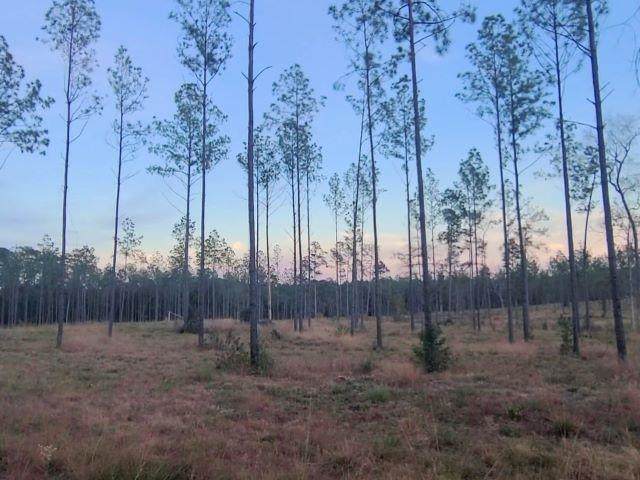 Tract 1 Lot 3 Pr 6026 - Photo 1