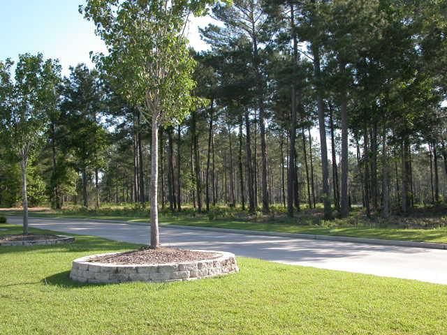 00 Deer Trace Blvd - Photo 1