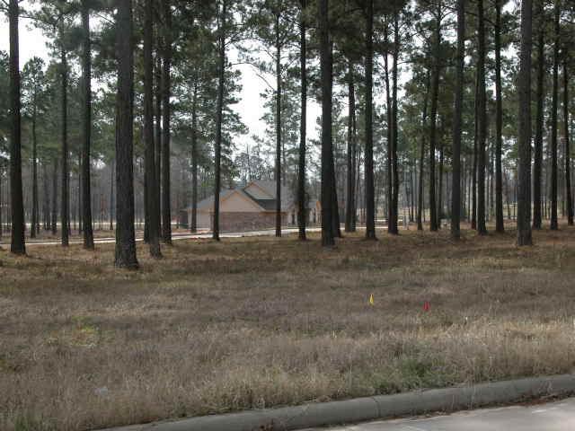 00 Magnolia Drive - Photo 1