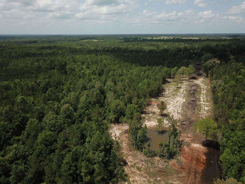 698 County Road 541 - Photo 1