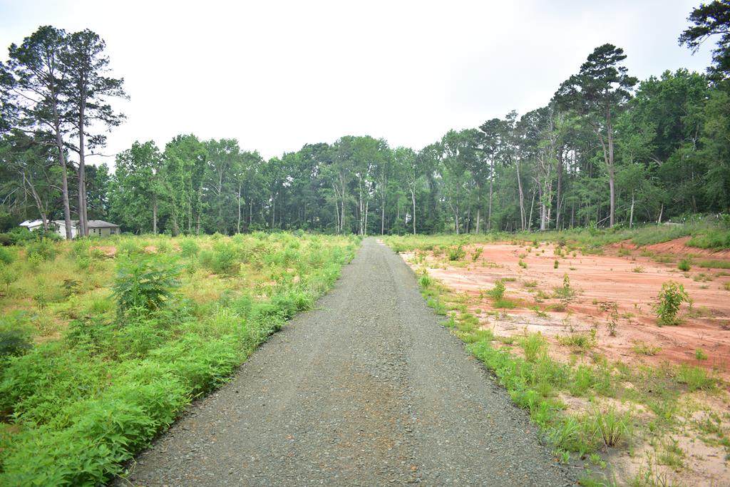 TBD Us Hwy 259 - Photo 1