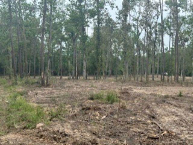 3870 tract 2 Cr 2590 - Photo 1
