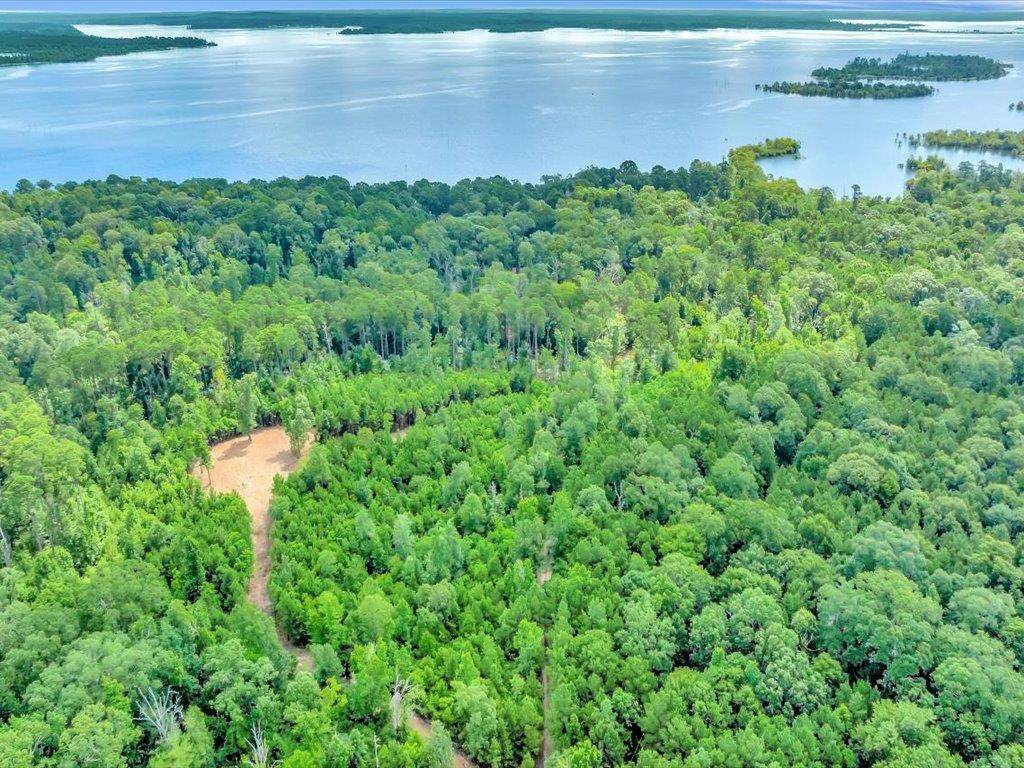 PID 17663 Bryce Squyres Rd - Photo 1