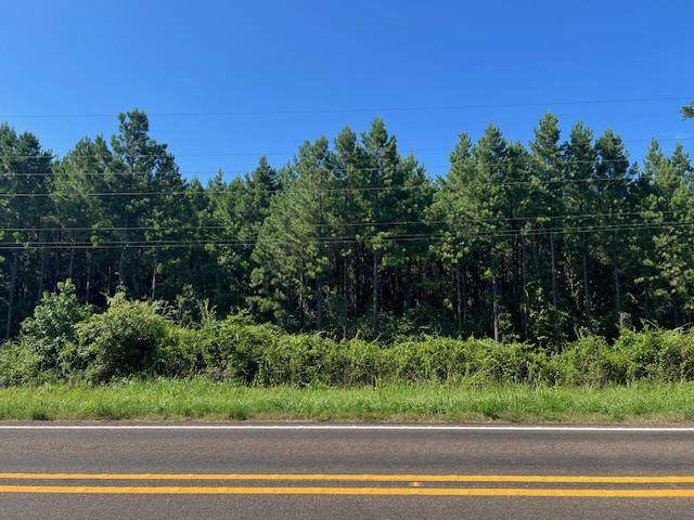 3032 Highway 184 - Photo 1