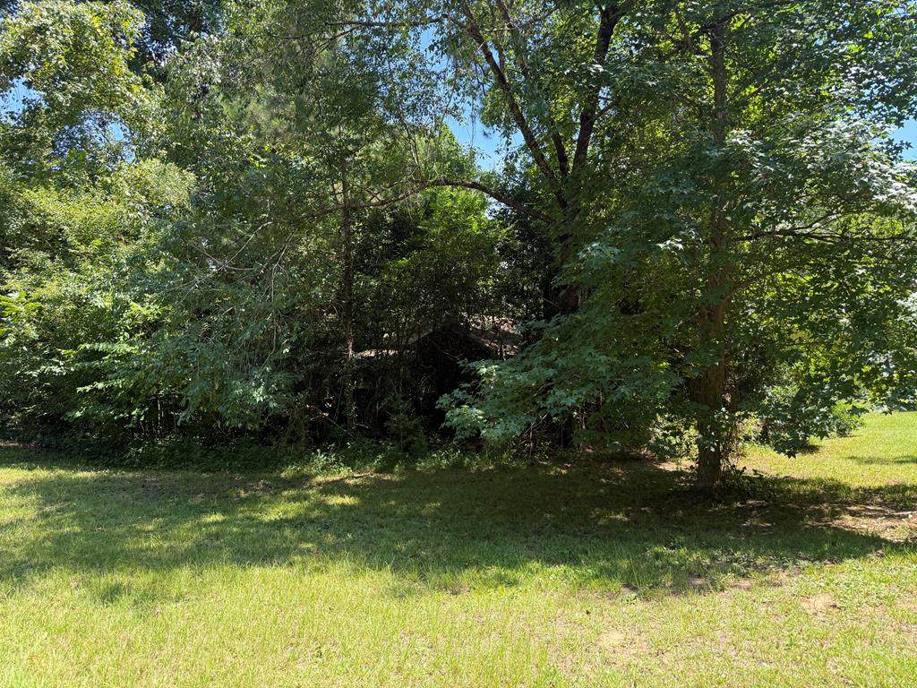 TR 11 87 North - Photo 1