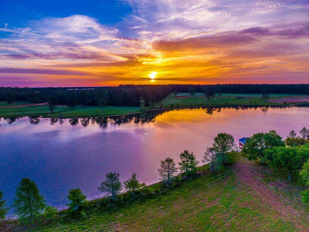 Lot 26 Lakeland Ranch - Photo 1