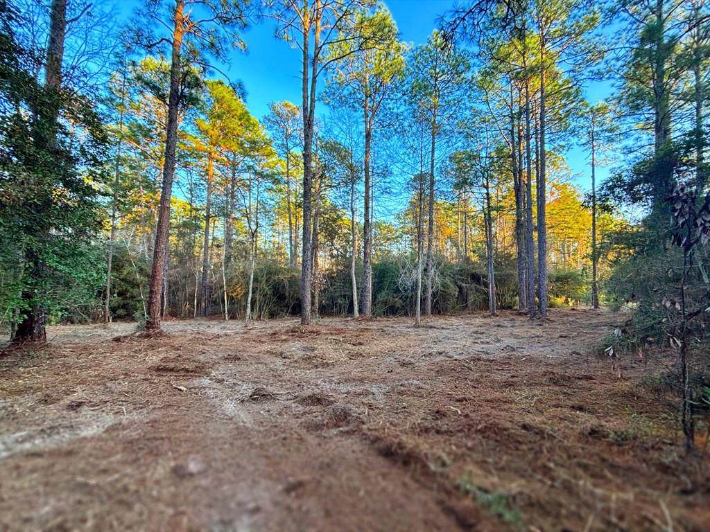 PID# 34570 Sago Court - Photo 1