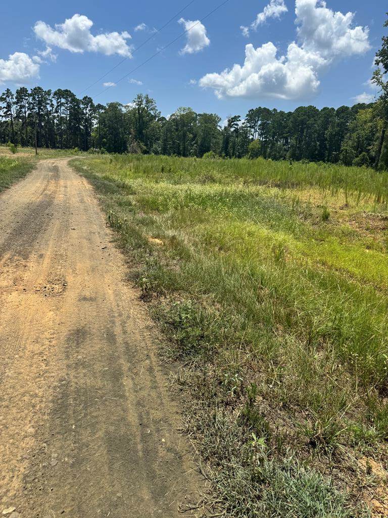 R28429(lot10) Private Road 7700 - Photo 1