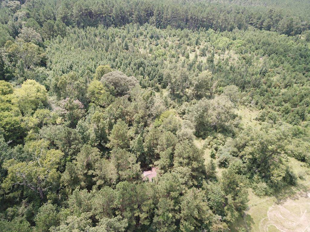 2800 County Road 441 - Photo 1