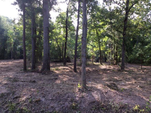 0 Ponderosa Drive - Photo 1
