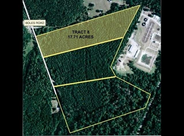 Tract 8 Boles Lane - Photo 1