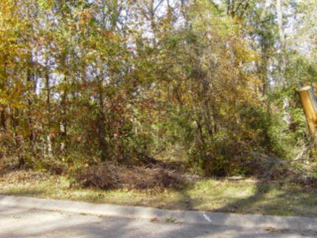 0 Columbine St. - Photo 1