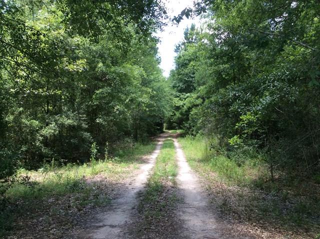TBD Hwy 94 - Photo 1