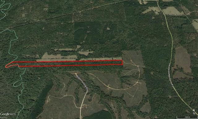 000 Hwy 84 - Photo 1