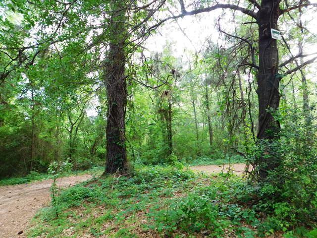 800 Odell Mill Road - Photo 1