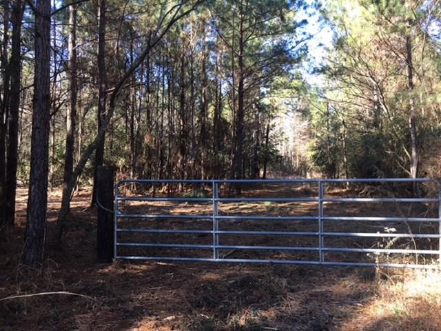 None John Kolb Road - Photo 1