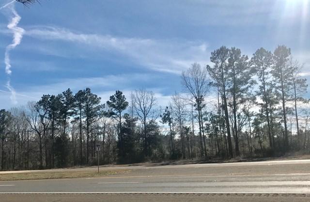 0 Hwy 69 North - Photo 1