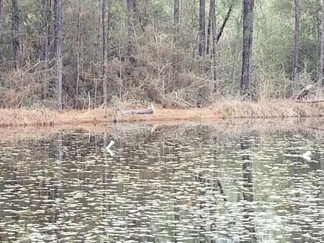162 Earl Miles Rd - Photo 1