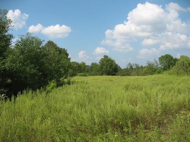 0 Southwood And Daniel Mccall - Photo 1