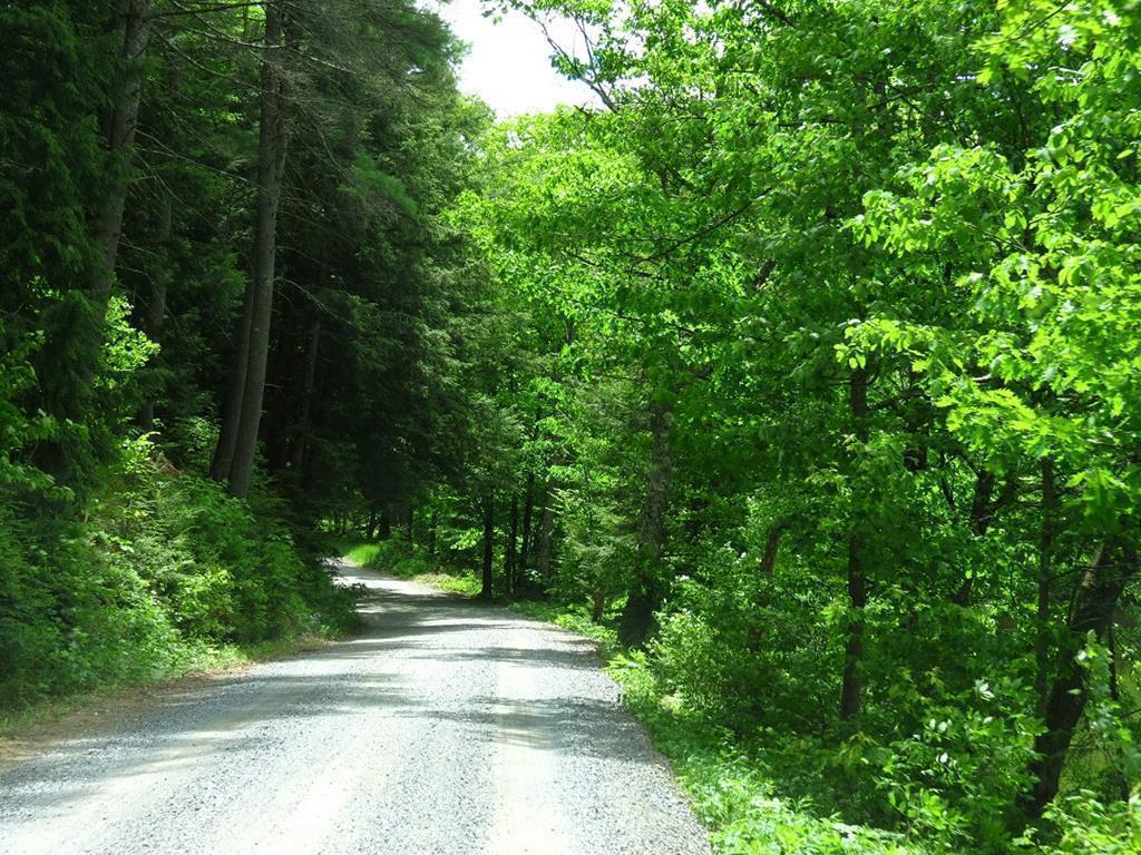 00 Hwy 103E - Photo 1