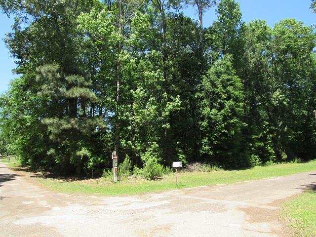 0 Holly Street - Photo 1