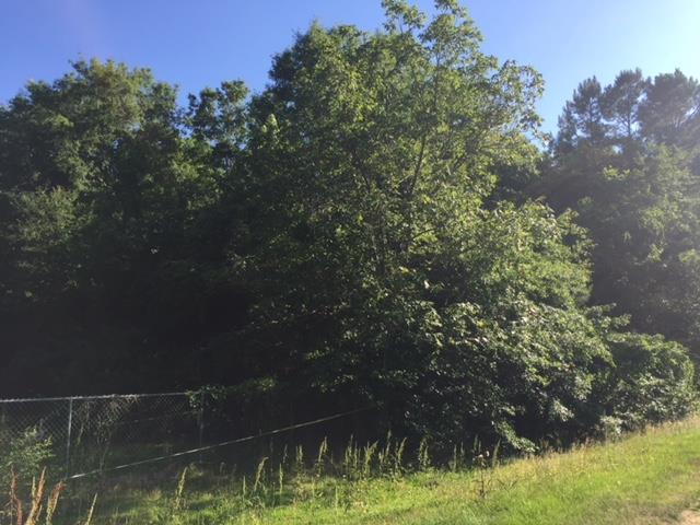000 Lakeside Drive - Photo 1