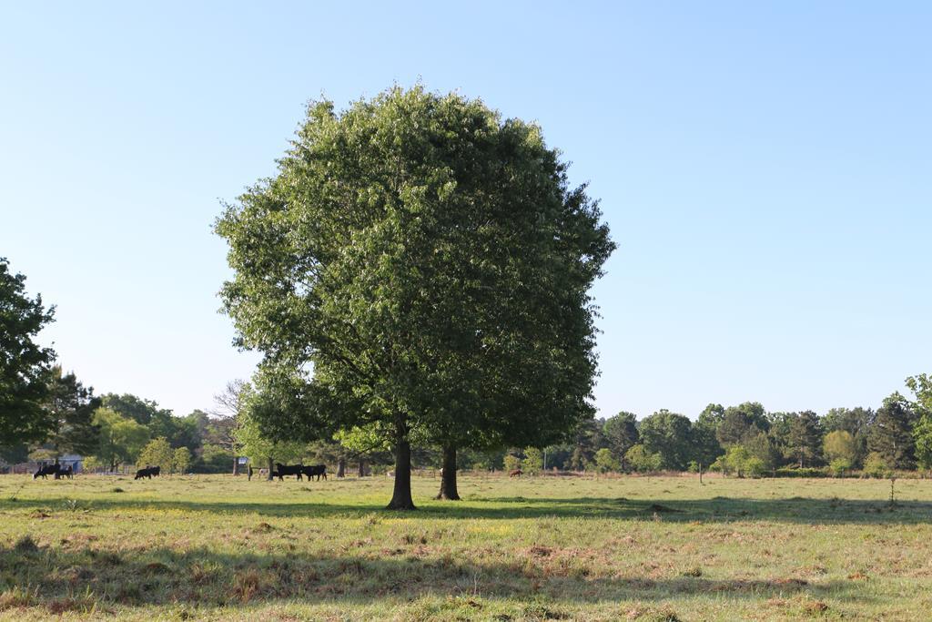 00 Water Well Road - Photo 1