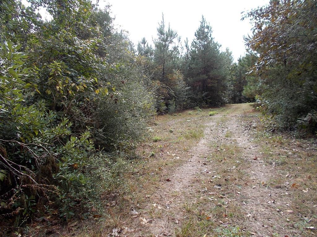 TBD Lazenby Rd W - Photo 1