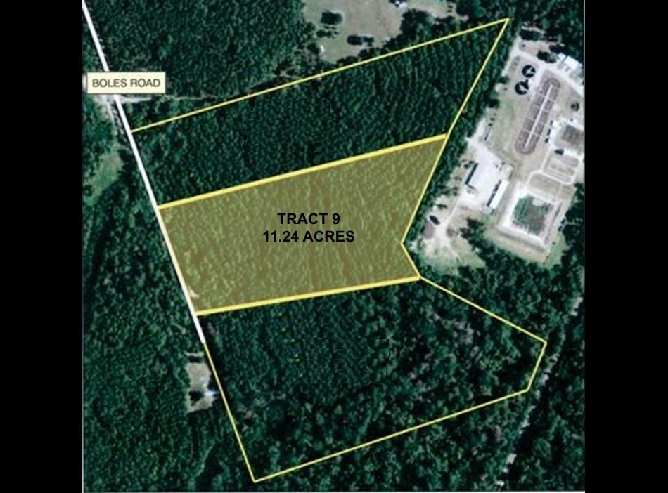 Tract 9 Boles Lane - Photo 1