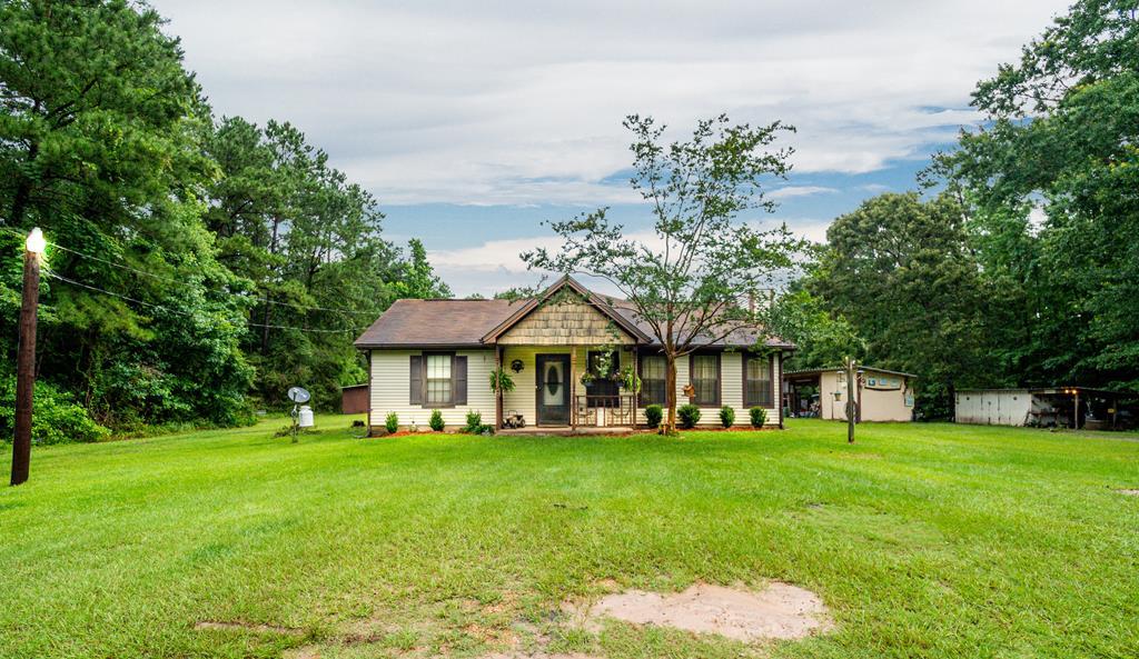 313 Cotten Lane - Photo 1