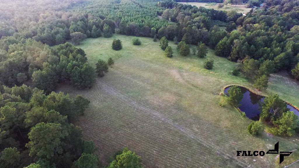 0 Eagle Creek Drive - Photo 1