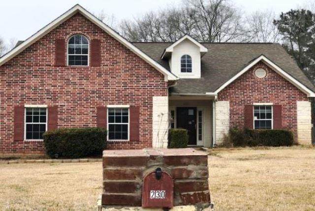 230 Austin Lane - Photo 1