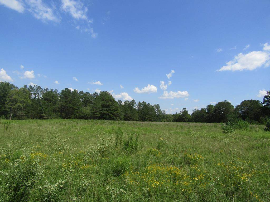 00 Fm 2501 - Photo 1