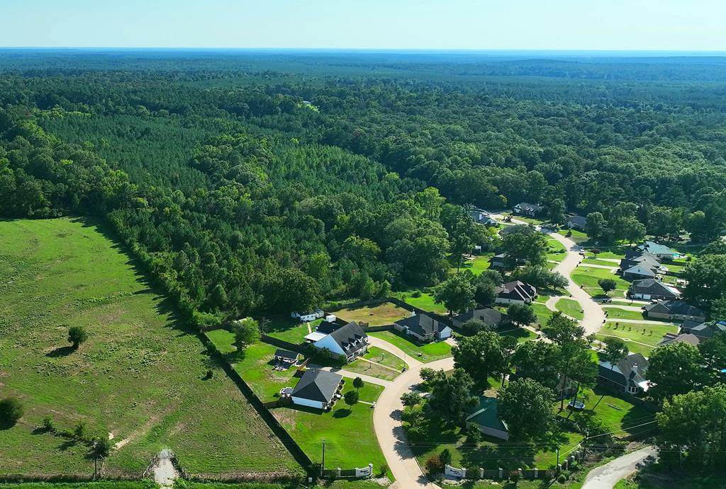 Lot 2 Austin Lane - Photo 1