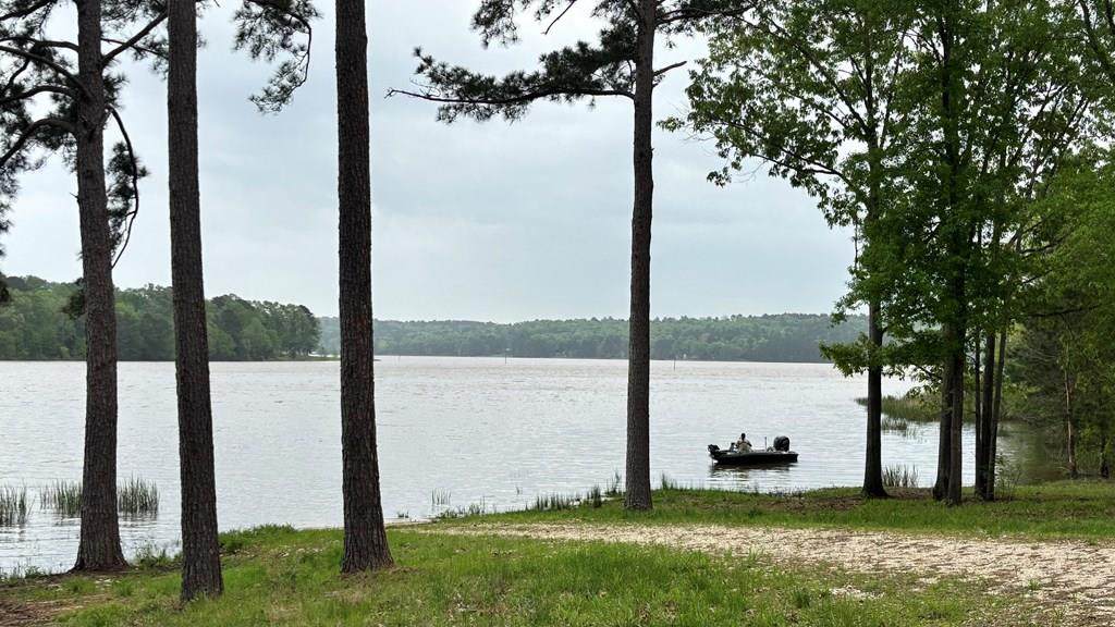 Tract 21 Lakepoint Passage - Photo 1