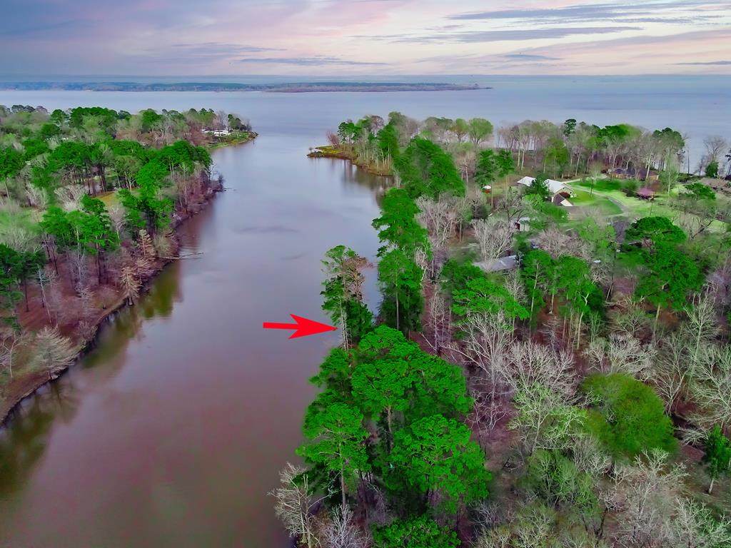 1619 Cypress Point Drive, Huntington, TX 75949 (MLS 72037) Keller