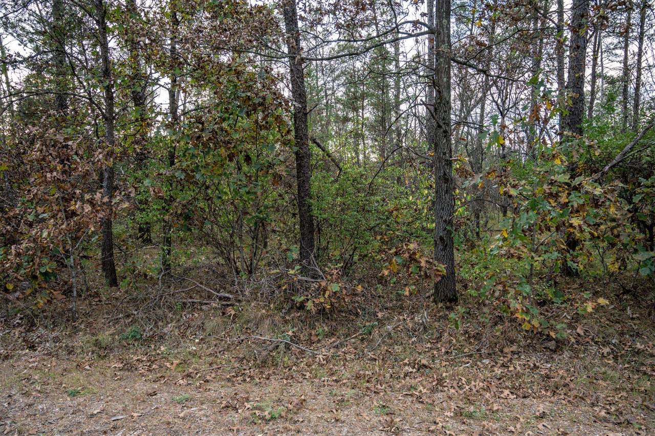 Lots 237 & 242 Woodland Trail - Photo 1