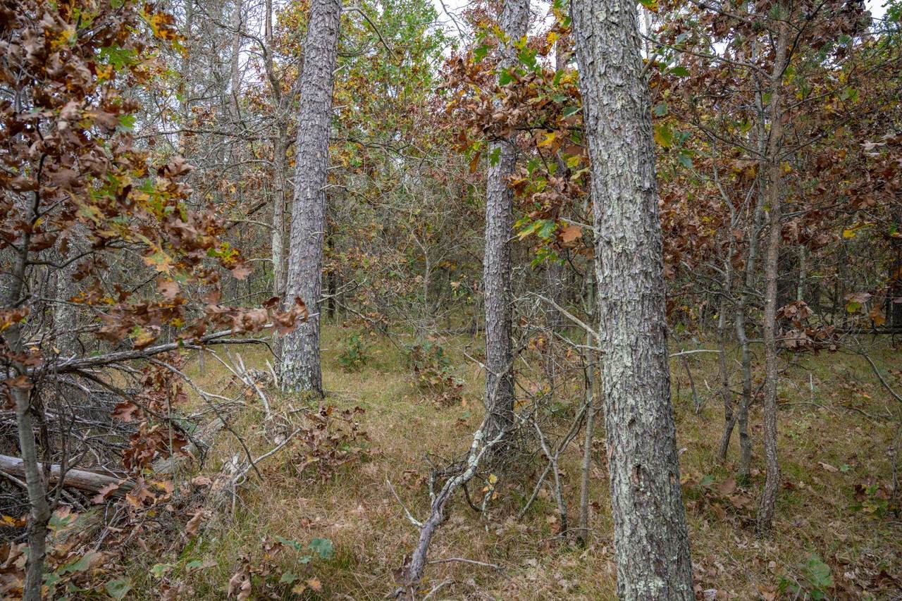 https://bt-photos.global.ssl.fastly.net/madison/1280_boomver_1_1922073-2.jpg
