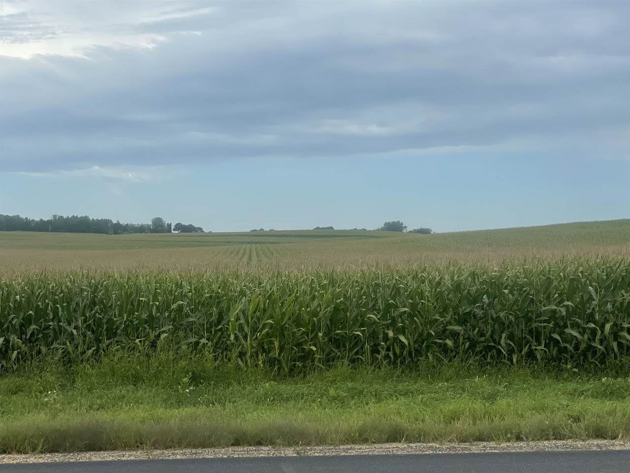 40 Acres Highway 60 - Photo 1