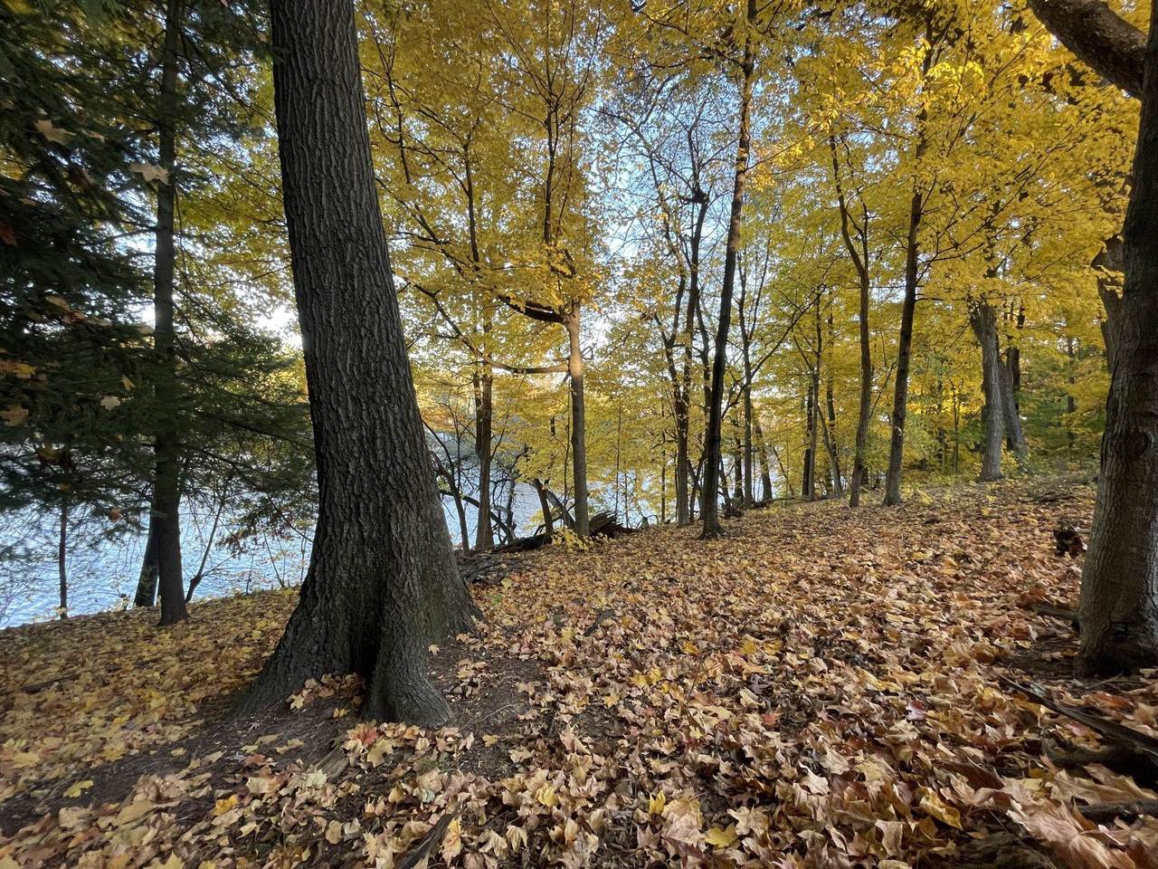 304 Sugar River Pky - Photo 1