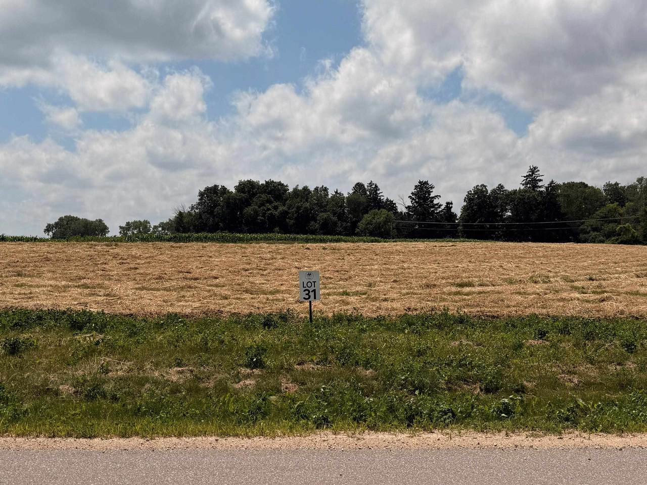 Lot 31 Diane Kay Way - Photo 1