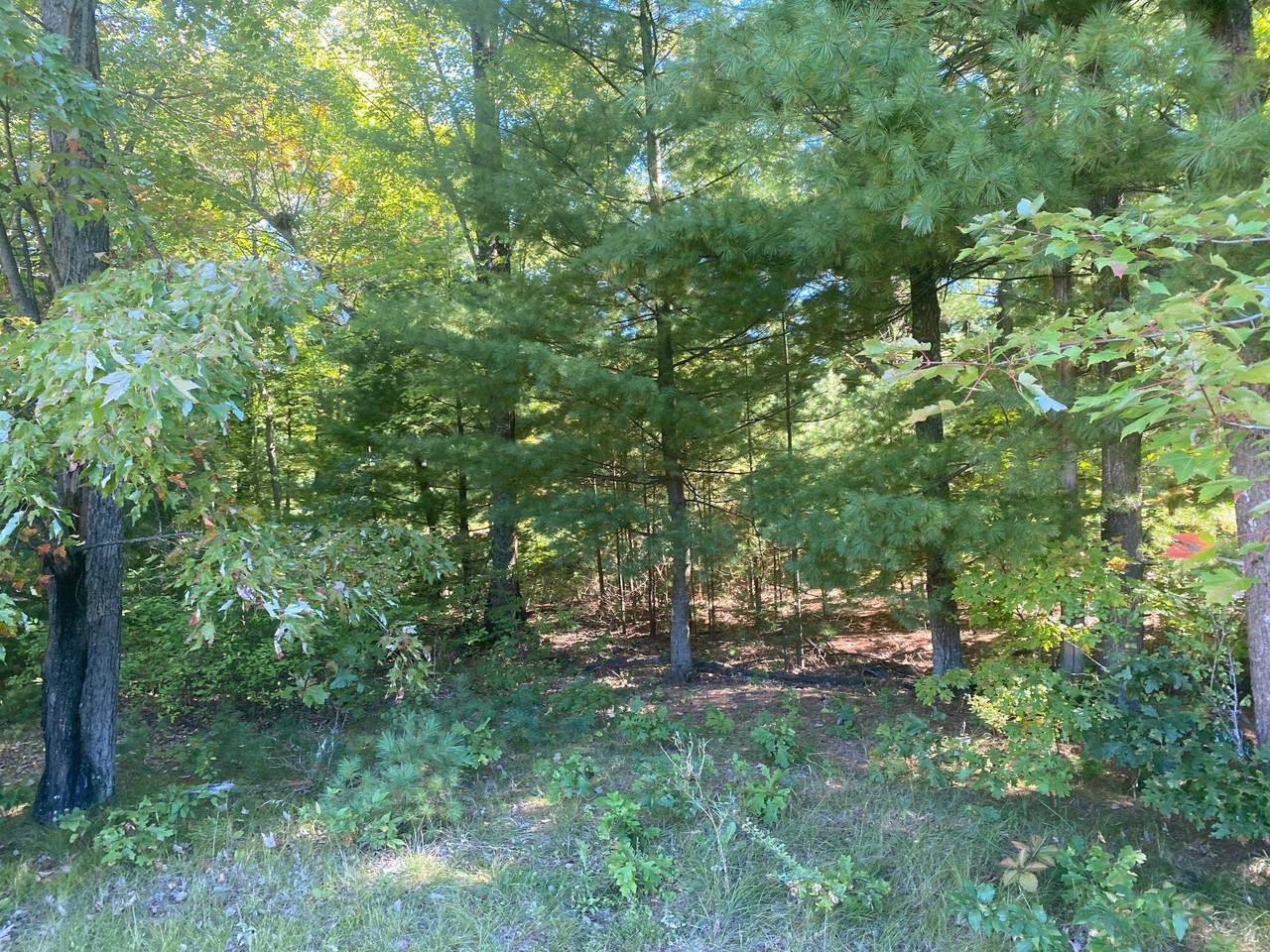 https://bt-photos.global.ssl.fastly.net/madison/1280_boomver_1_1954924-2.jpg