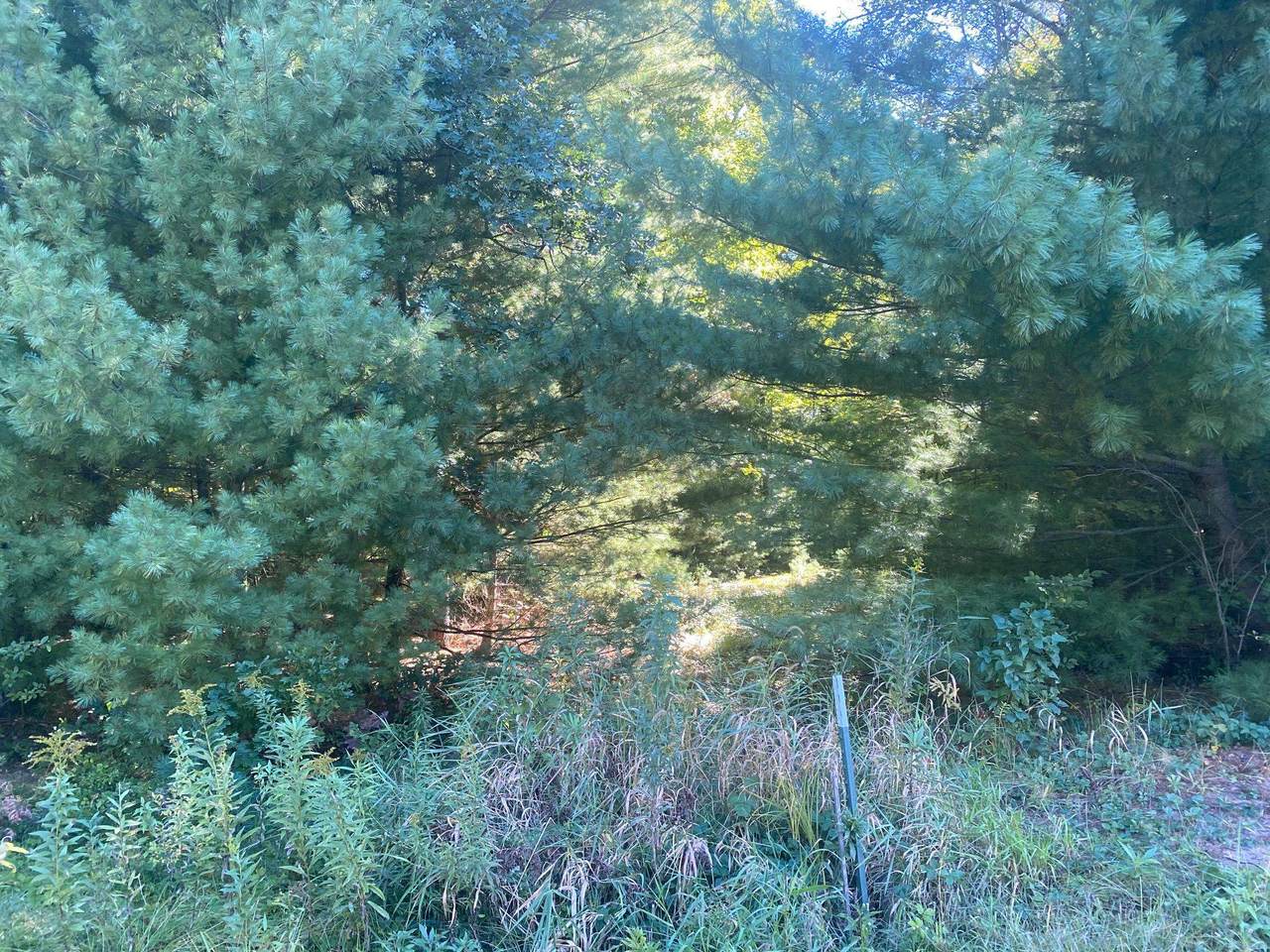https://bt-photos.global.ssl.fastly.net/madison/1280_boomver_1_1954924-2.jpg